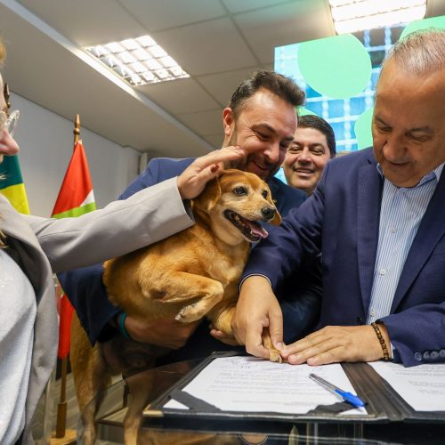Santa Catarina lança o maior programa estadual de castração animal do Brasil