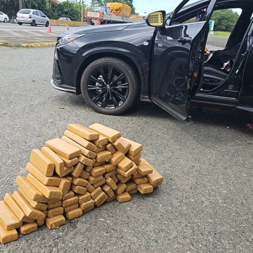 Mais de 300 kg de maconha são apreendidos pela PRF durante feriadão de Páscoa em SC