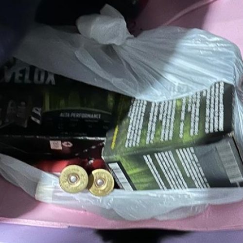 PF intensifica combate ao tráfico de drogas enviadas por encomendas no Sul do país