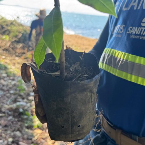 Prefeitura de Penha promove limpeza e plantio na trilha de acesso à Saudade e Quilombo