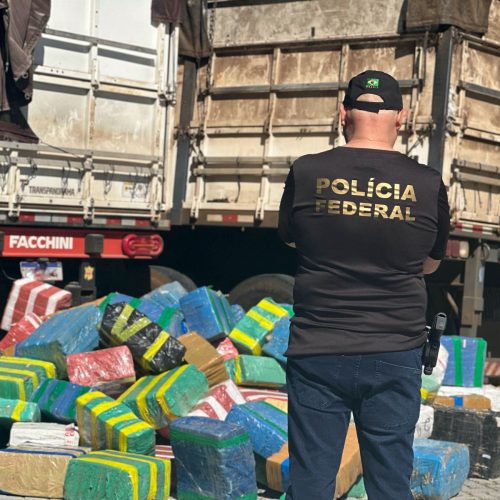 PF apreende cerca de 7 toneladas de maconha e prende uma pessoa em Santa Catarina; VÍDEO