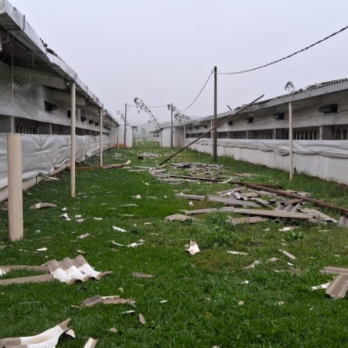 Temporal causa estragos e provoca morte no Oeste de Santa Catarina