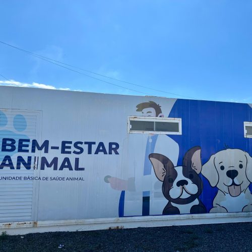 Pet Container: Penha disponibiliza atendimentos veterinários gratuitos para cães e gatos