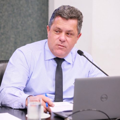Avança projeto do deputado Naatz que amplia punição para responsáveis por maus tratos a animais